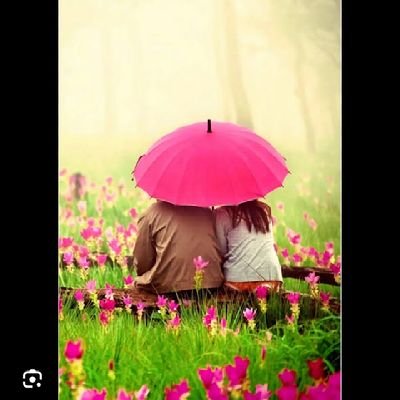 ukasha_taimoor's profile picture. 