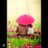 ukasha_taimoor's profile image