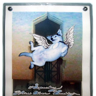 loveissimo66's profile picture. 