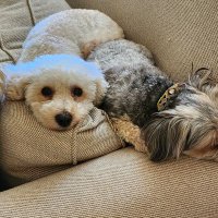 Mike Larkin (@mikelarkinland) 's Twitter Profile