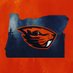 Beaver Bullpen (@BeaverBullpen) Twitter profile photo