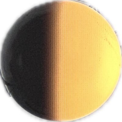 windowox's profile picture. 