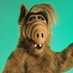 Alf (@loglionel) Twitter profile photo