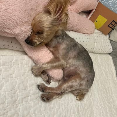 JACKIECHEO52899's profile picture. 