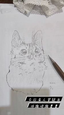 CyrysCalling's profile picture. 