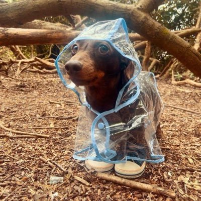 honeychld_1's profile picture. 