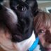 Lisa Diane (@chuckiesmum3) Twitter profile photo Lisa Diane (@chuckiesmum3) Twitter profile photo