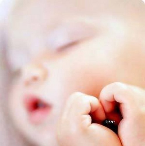 p_van_doesburg's profile picture. 