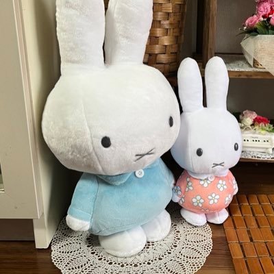 nori1229_'s profile picture. お花と猫と平野紫耀君が好きです