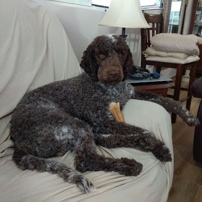 orlovich38393's profile picture. 