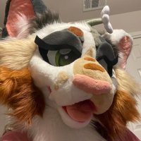 Cindy 🔜 TFF (@cindycatcalico) 's Twitter Profile