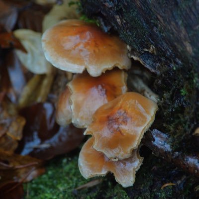 yudekaeru888's profile picture. 