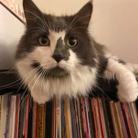 Gus Stadler (@majortominor) 's Twitter Profile