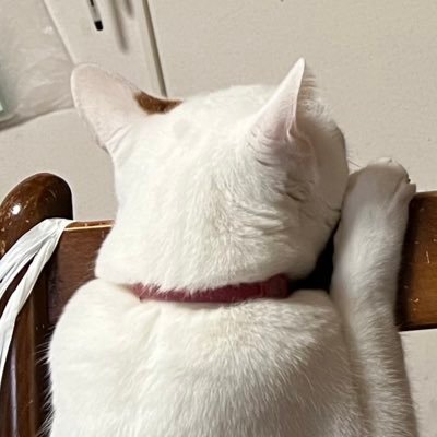 renoinky's profile picture. 最近のトレンドは狩猟笛