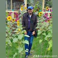 Jhonalbeiro Sanchezbernal (@jhonalbeir8060) 's Twitter Profile