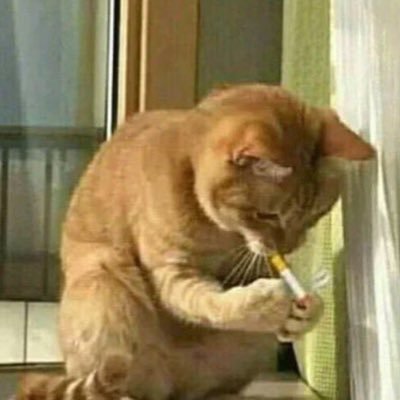 rejinaphelenji's profile picture. 