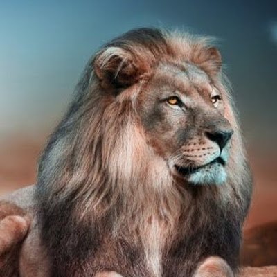 lakterian9's profile picture. Māāt🔥. Solidity. CyberSecurity.