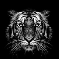 1000 Forms Of Fear 🕸️🐍🦞🦂🕷️🪳🦟🦅🦇 (@randzejude) 's Twitter Profile Photo 1000 Forms Of Fear 🕸️🐍🦞🦂🕷️🪳🦟🦅🦇 (@randzejude) 's Twitter Profile Photo