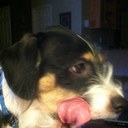 steve peery - @PeerySteve - Twitter