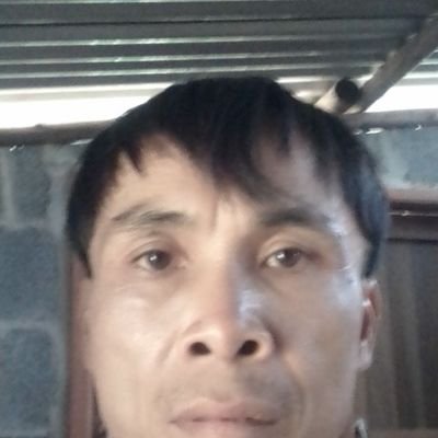 frog_abcd's profile picture. Tulip bulbs for the attachment