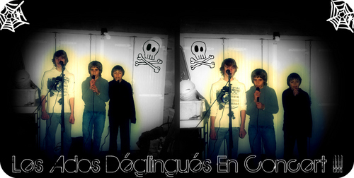 Groupe de 2011 , musique de genre electro pop , r&b , rock-pop