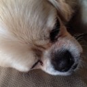 Marta Hill - @welovecasper - Twitter