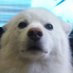 ãããðž (@sadabon1) Twitter profile photo ãããðž (@sadabon1) Twitter profile photo
