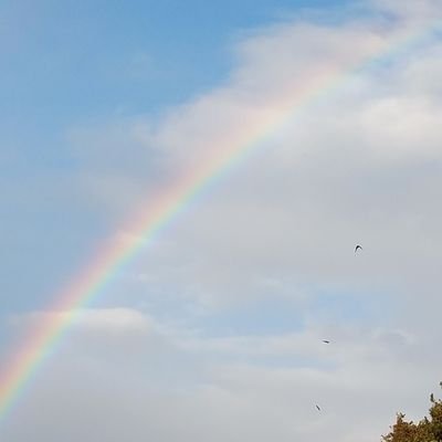 mattcha_nya's profile picture. ド文系のまっちゃ/ ひゅぷのしす・漫研・視文研入ったよ/ @mattcha_no_cha ←🗝/@mattcha_n ←TRPG　⸜18↑⸝