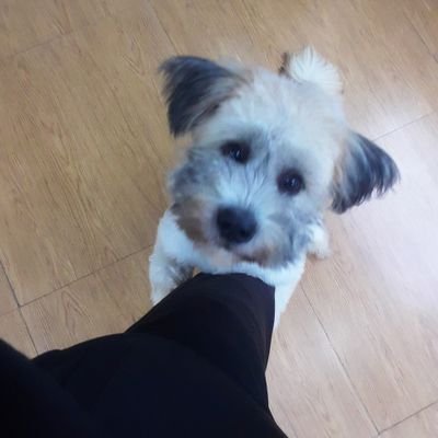 lertt63's profile picture. 