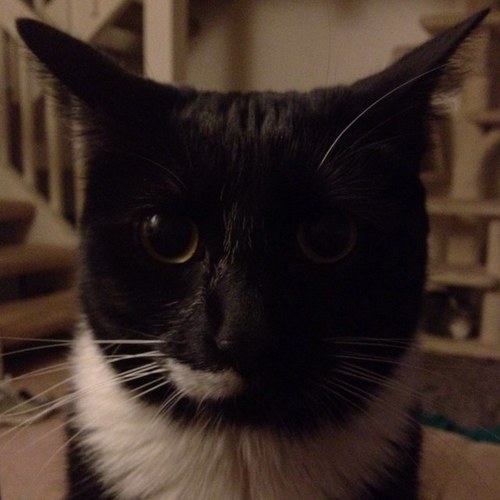 mjp462's profile picture. 