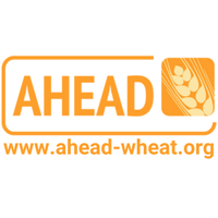AHEAD (@ahead_wheat) 's Twitter Profile