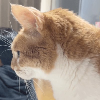 seboさんのプロフィール画像