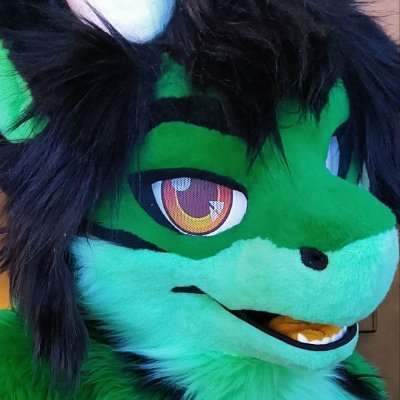 27 year old fursuiter from Denmark 🇩🇰 | Taken by @dont_jinxit