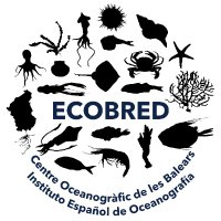 ECOBRED(@ECOBRED_COB) 's Twitter Profile Photo