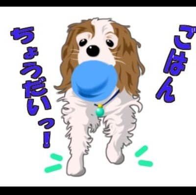 🐕️にっこり🐹さんのプロフィール画像