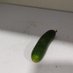Pickle MHB (@mhb_g_) Twitter profile photo Pickle MHB (@mhb_g_) Twitter profile photo