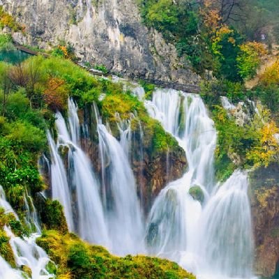 mbcfm11's profile picture. 