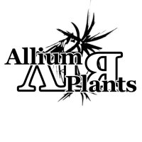 Allium AIR Plants(@AlliumAIRPlants) 's Twitter Profile Photo