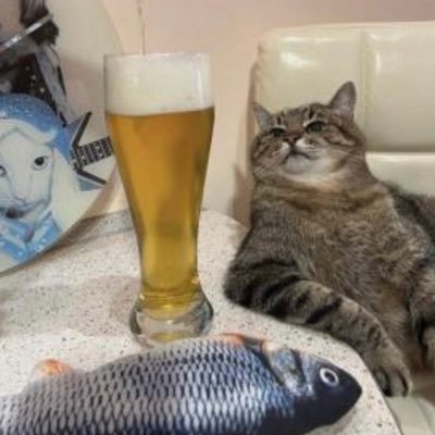 ImViazi's profile picture. Viazi#3599