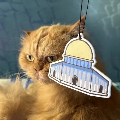 HisMeow's profile picture. You'll all die. AHAHAHAHAHAHAHAHHAHAHAHAHAHAHAHA. #BecauseYoullNeverMeetMe #NowhereNearYou #SixOfCrows #Resilience #Snobitch •Cats•Whales•Jellyfish•Cactus•Moon•