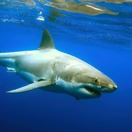 kwbikmnau's profile picture. zima je tebe no mne teda nie je