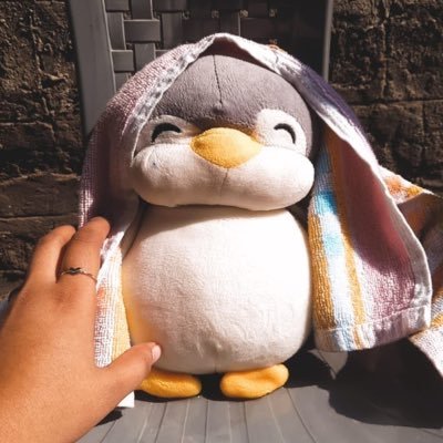 UrjaBamnotey's profile picture. 