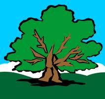 OakwoodNC's profile picture. Friendly, competitive & sociable Netball Club with 4 senior squads & Juniors. Training on Thursday night & matches every Saturday in Local & County Leagues.