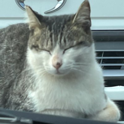 wwh32674's profile picture. 