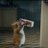 gaddamnpoint's profile image
