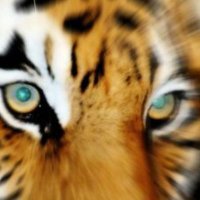 Jahreaming of May'hem (@stephentuddenh2) 's Twitter Profile Photo Jahreaming of May'hem (@stephentuddenh2) 's Twitter Profile Photo