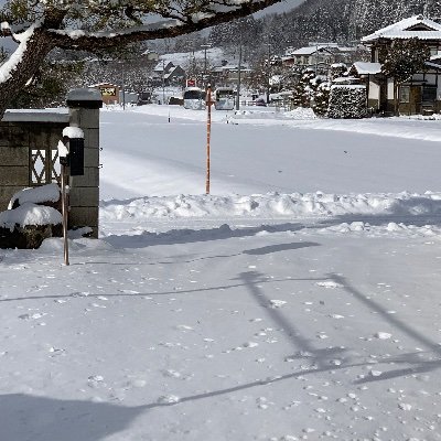 qLfXzhe03a91431's profile picture. 趣味、キャンプ、旅行                                                好きな物、ゲーム、アニメ