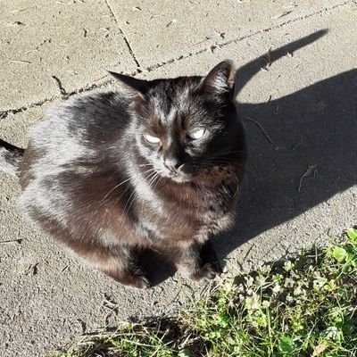 BRIDGETLAWLOR3's profile picture. no DMs