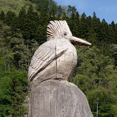 北海道に暮らしておりましたが現在は生まれ育った地で鳥を探しています。いずれ北海道に戻ります。交通手段は徒歩、自転車、公共交通機関。 写真・動画の無断転載はおやめください。書写の練習@kaku_mirin