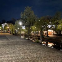 どう (@hankoki789) 's Twitter Profile